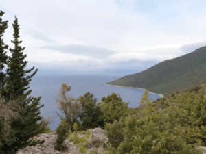 One of the highlights of Cres is the Tramuntana Forest
